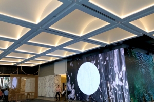 100 Creek Street Refurbishment